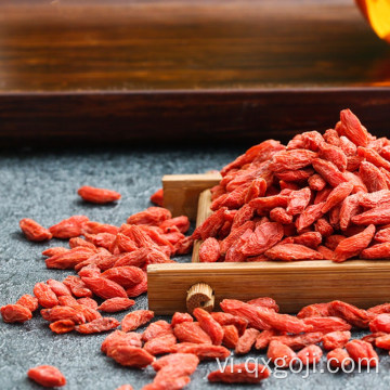 Organic goji màu đỏ cam trái cây dinh dưỡng dinh dưỡng